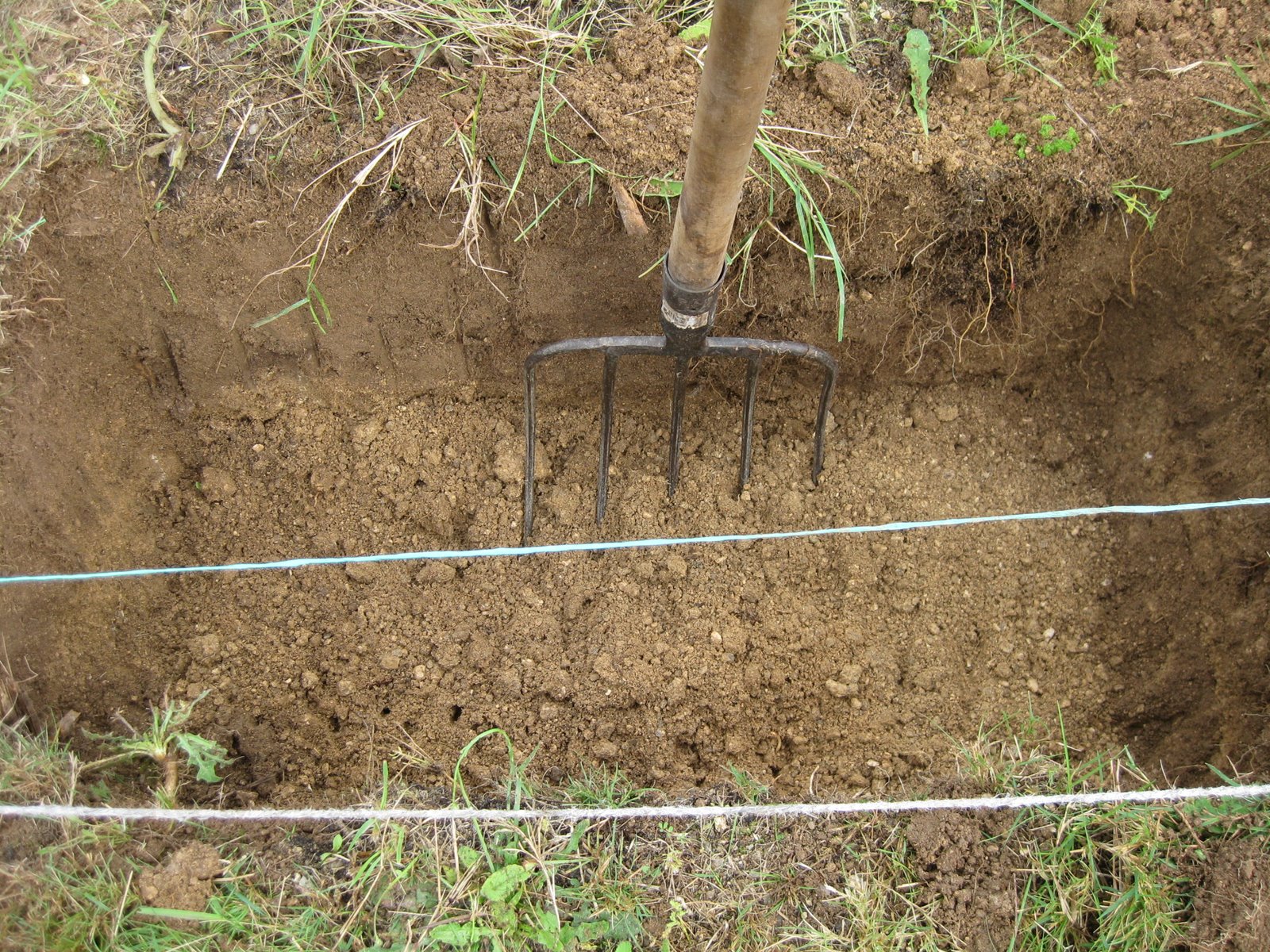 [20081011+013.jpg]