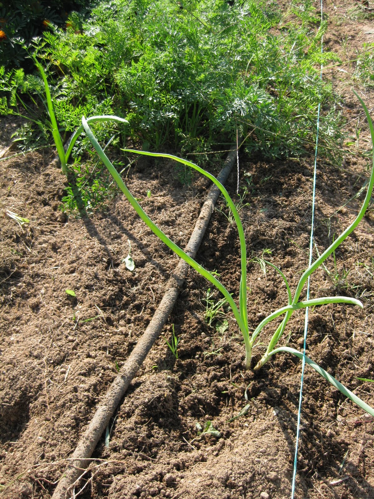 [20090926+011.jpg]