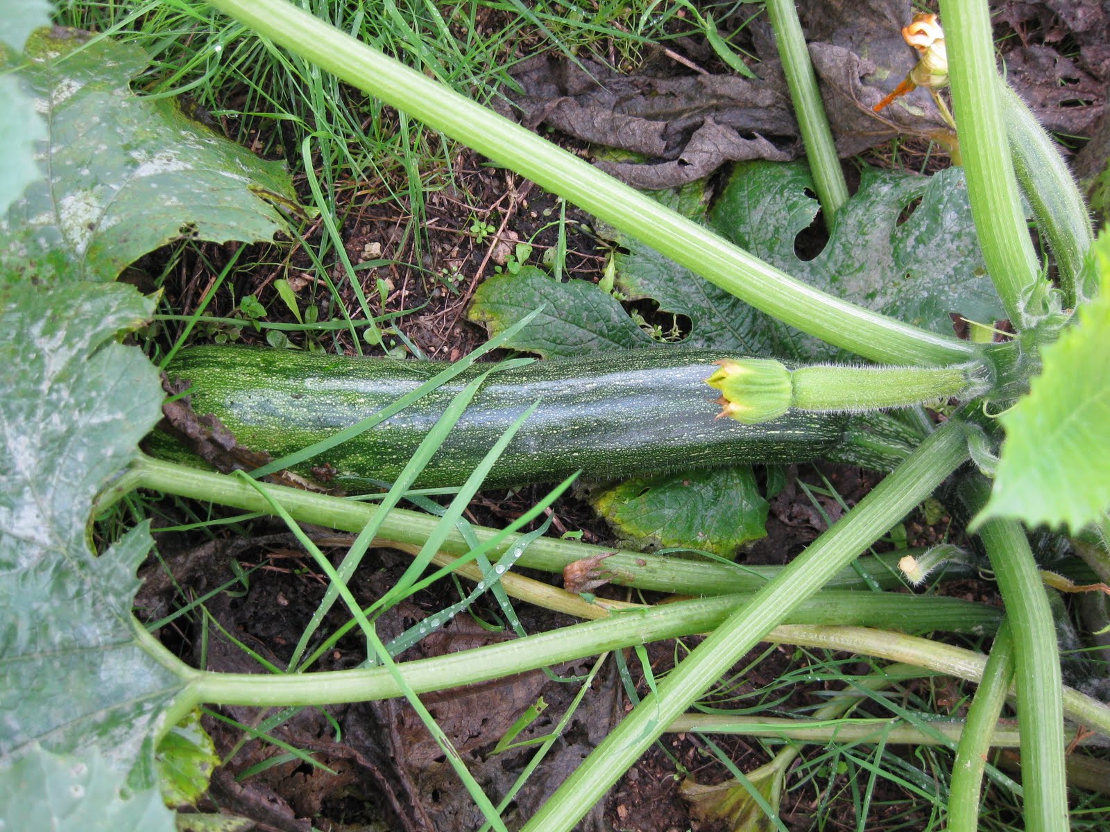 [20091105+011.jpg]