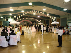 The Quinceanero Party
