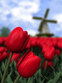 love tulips