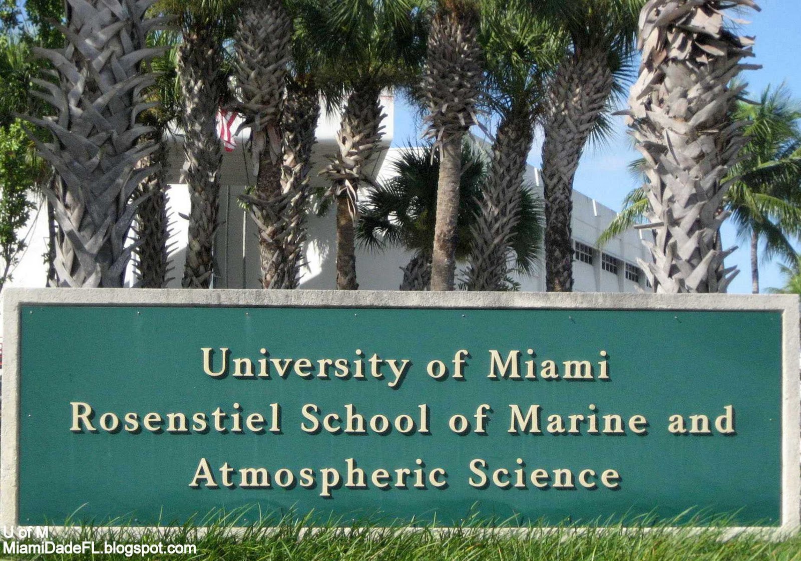 Find Dissertations Online Xavier University