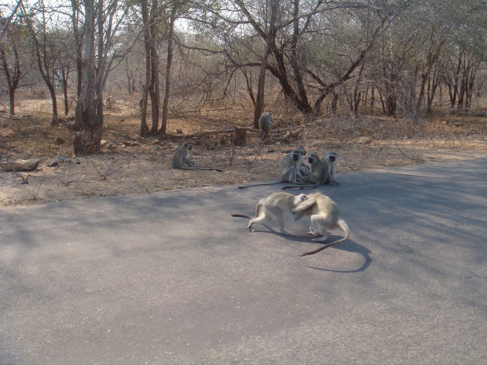 [Semana_04+(331).JPG]