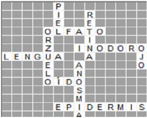 ENFERMEDAD DE LOS SENTIDOS enfermedad de los sentidos: