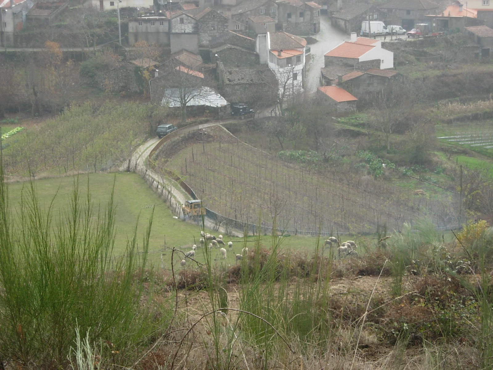 [DSCN0151.JPG]