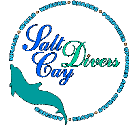 Salt Cay Divers - Salt Cay, Turks and Caicos Islands