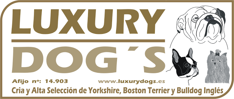 Luxury Dog's (old)