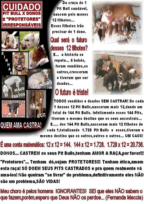 se conscientizem = QUEM AMA CASTRA