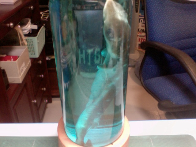 Spiny+dogfish+shark+facts
