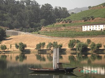 [douro.bmp]