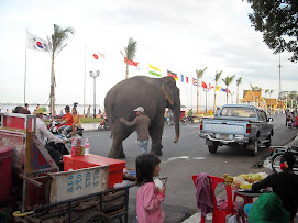 Elefante