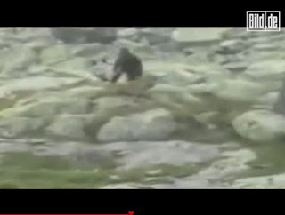 游客拍到的所謂“波蘭猿人”視頻的截圖