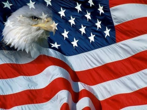 waving american flag clip art. american flag eagle clip art.