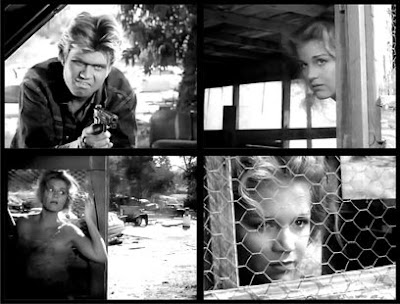 Helen Hovey