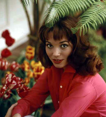 Elsa Martinelli