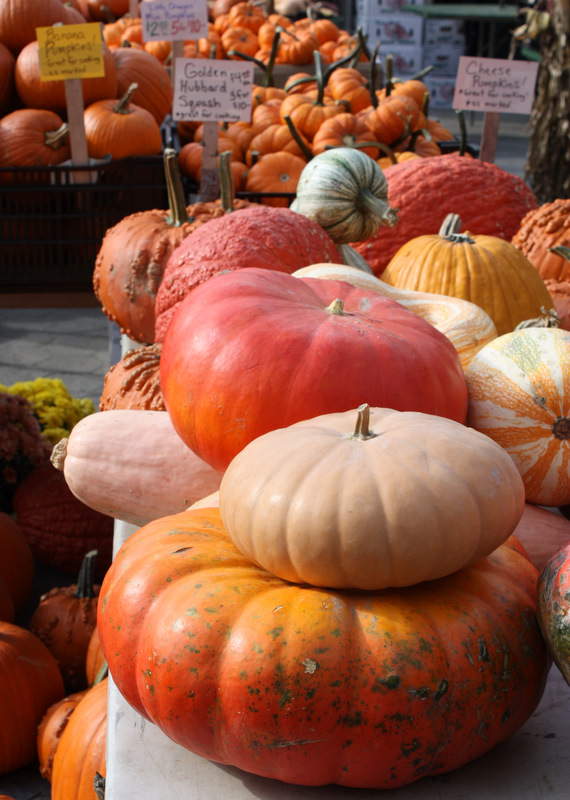The SoHo October 2010