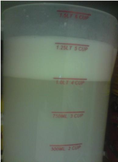 http://3.bp.blogspot.com/_ORk_xuMaTLA/SxUdDxkkRDI/AAAAAAAAAEQ/km7Da_M1X6c/s1600/Coconut+cream.JPG
