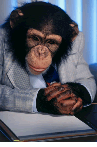 [monkey.gif]