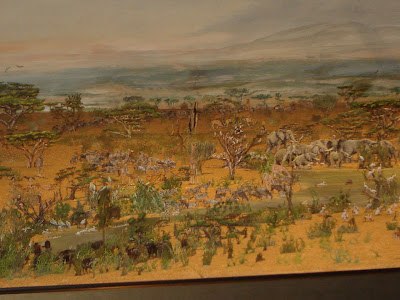 [Image: DSC07652.JPG]