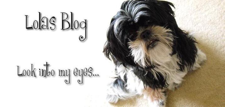 Lolas Blog