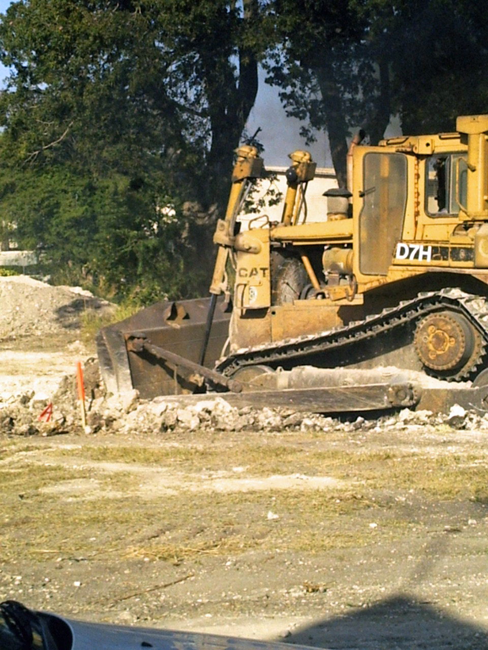 [280207Barbarees_4.JPG]