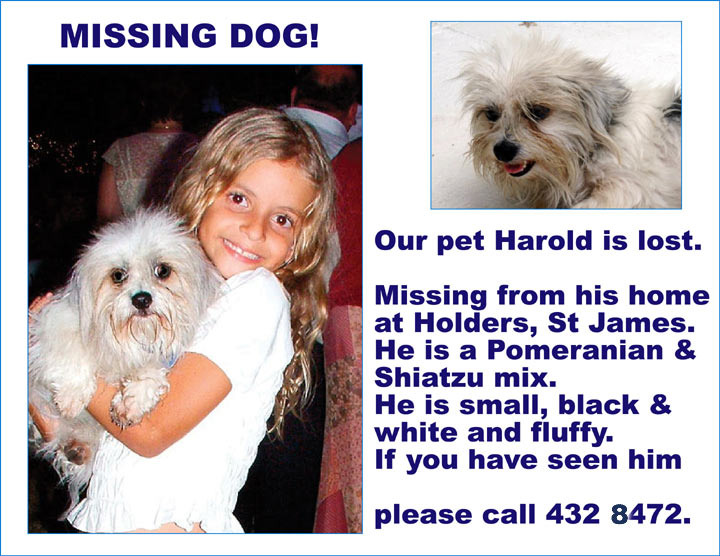 [Harold-is-missing[1].jpg]