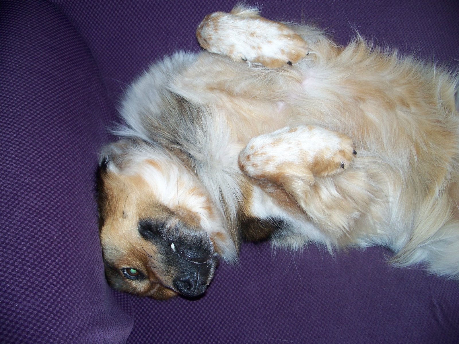 [MY+Bed+1+d..JPG]