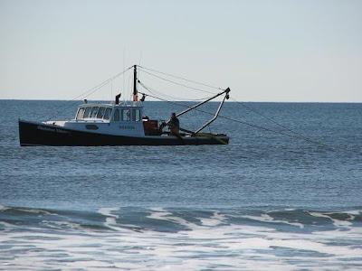 IMAGE: http://3.bp.blogspot.com/_OTkHLONyoXg/SOjKrSF7O3I/AAAAAAAAACs/5_cKhuGjuGY/s400/IMG_0575.JPG