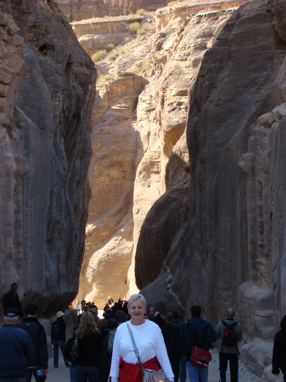 [Petra+14.JPG]