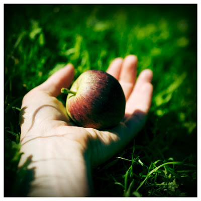 ls land issue 17 forbidden fruit bonus video ls land issue 17 forbidden fruit bonus video