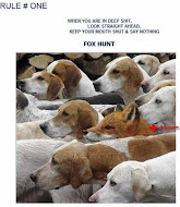 Be like the fox in the pack of hounds