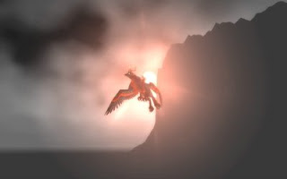 Sunset Flight