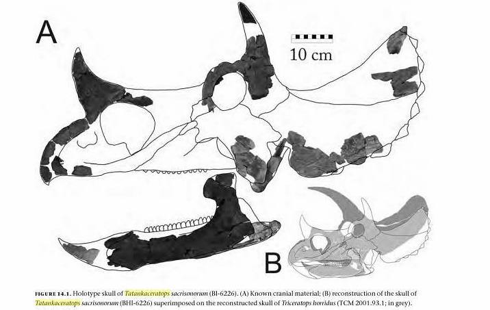 Tatankaceratops.jpg