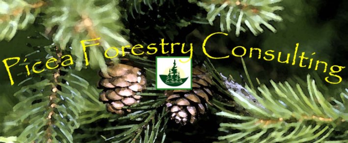 Picea Forestry Consulting