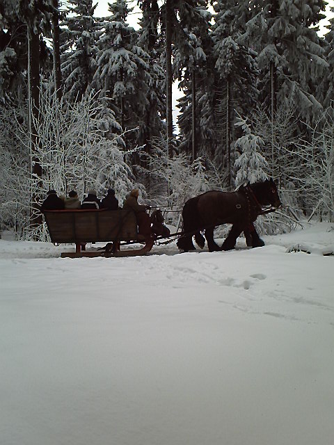 Elviras Versteck 2011 01 23