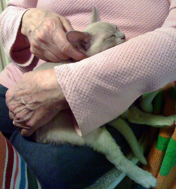 [2009-03-17-C&C-(33).jpg]