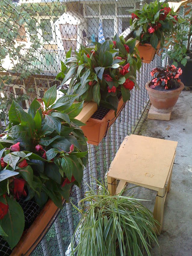 [2009-08-16-Balkon-6.jpg]