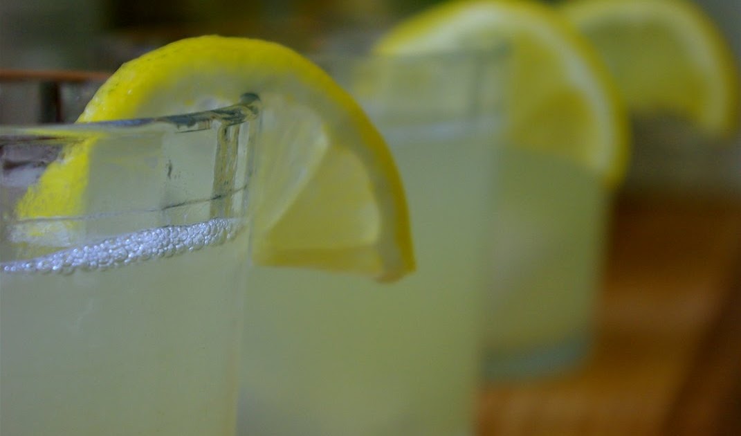 Sciuridae Lemonade, bread and brownies