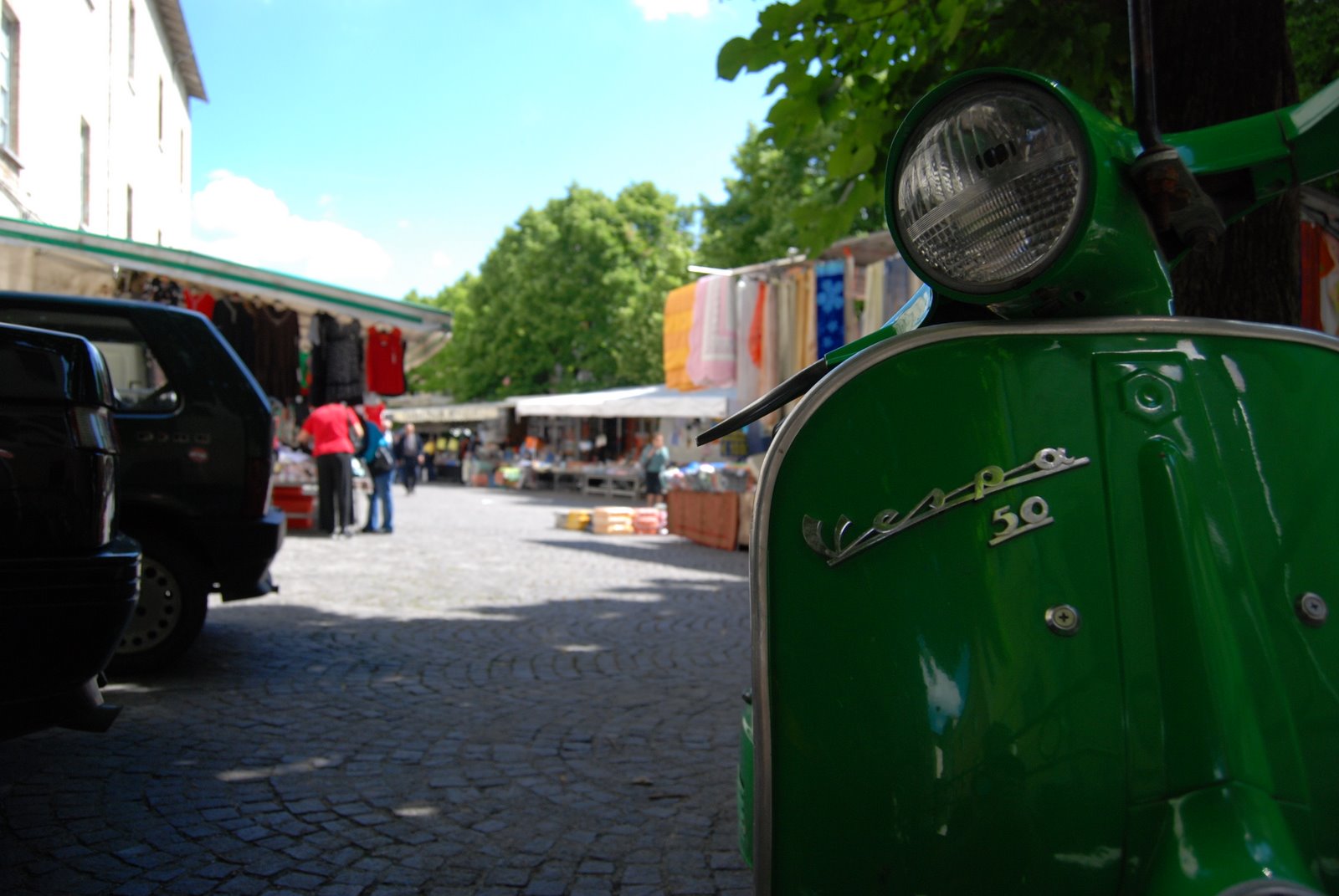 [DSC_0017_1.JPG]