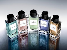 dolce & gabbana anthology