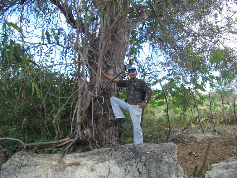 OUTRO PASSEIO NA CAATINGA