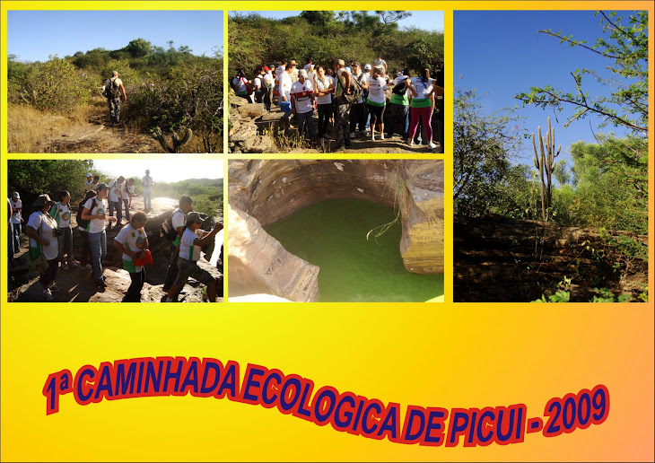 1ª CAMINHADA ECOLOGICA DE PICUI