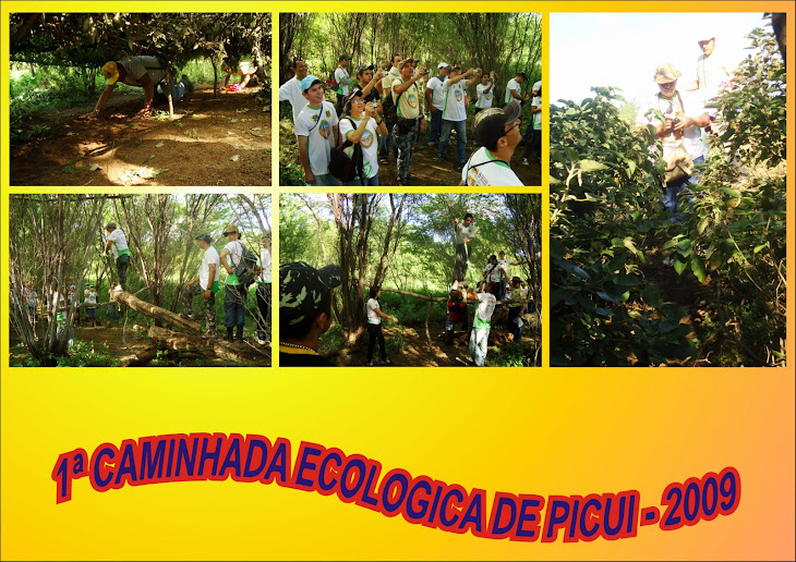 1ª CAMINHADA ECOLOGICA DE PICUI - 26/07/2009