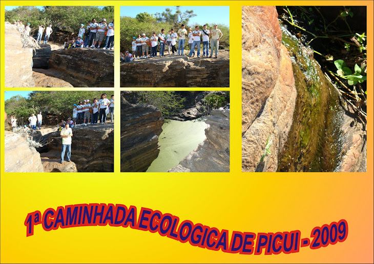 1ª CAMINHADA ECOLOGICA DE PICUI