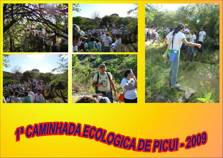 1ª CAMINHADA ECOLOGICA DE PICUI