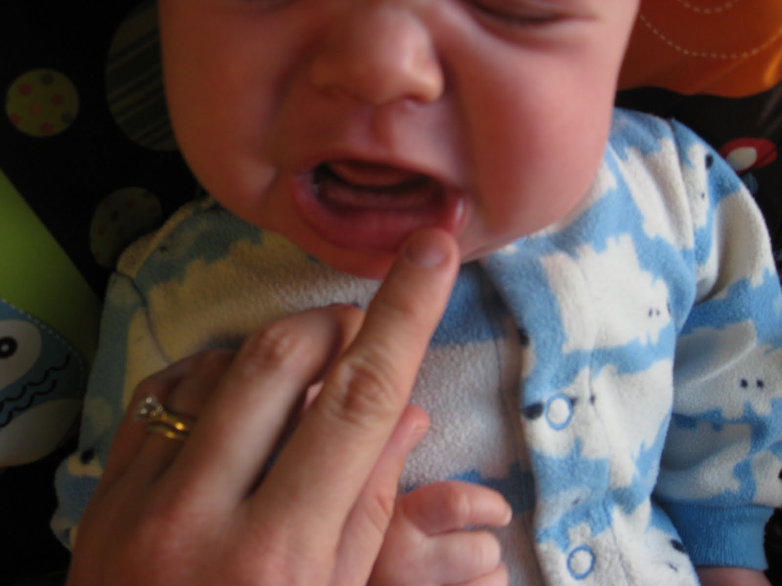 [Oliver+068.JPG]