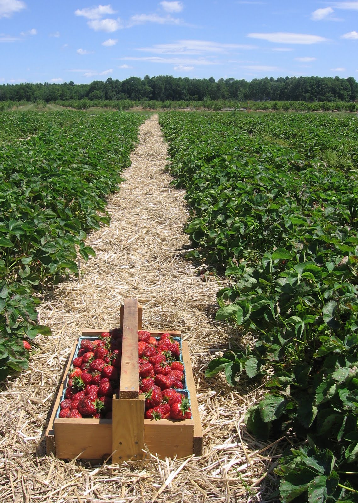 love the view from here celeste cota THINGS TO DO IN MAINE