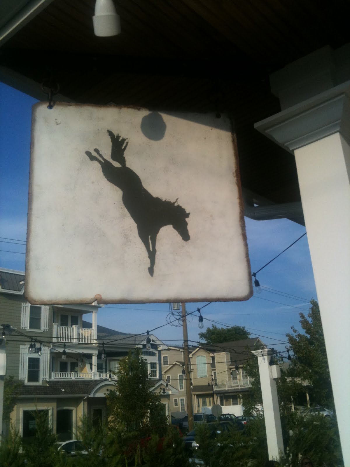 Philly Phoodie The Diving Horse, Avalon part two.