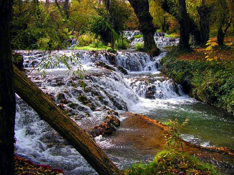 [caneiros+de+coiros.jpg]