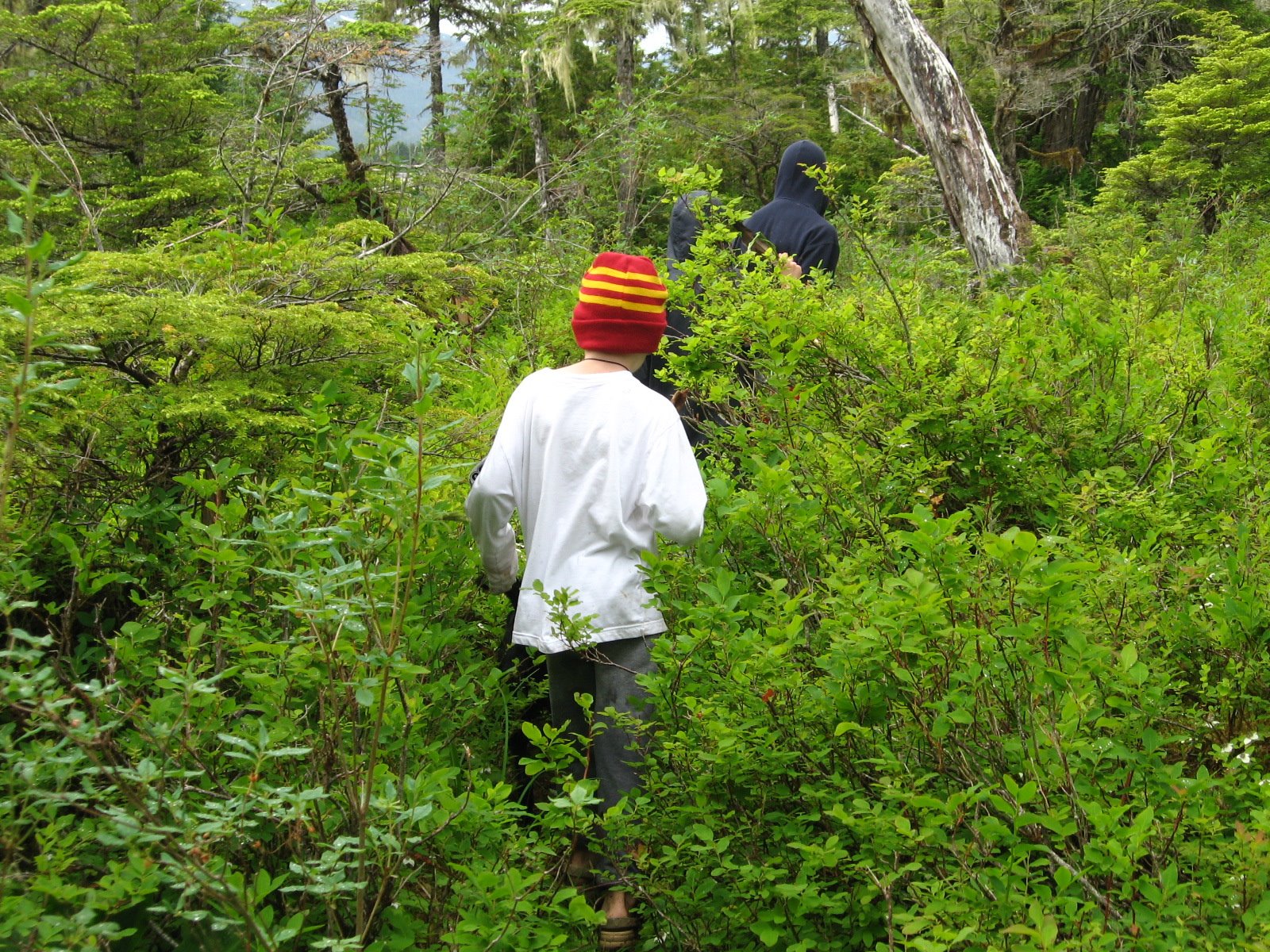 [hike8.JPG]